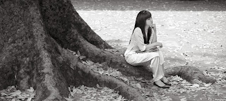 Album thiếu nữ áo dài VIỆT NAM làm hình nền máy tính tháng 12-2013